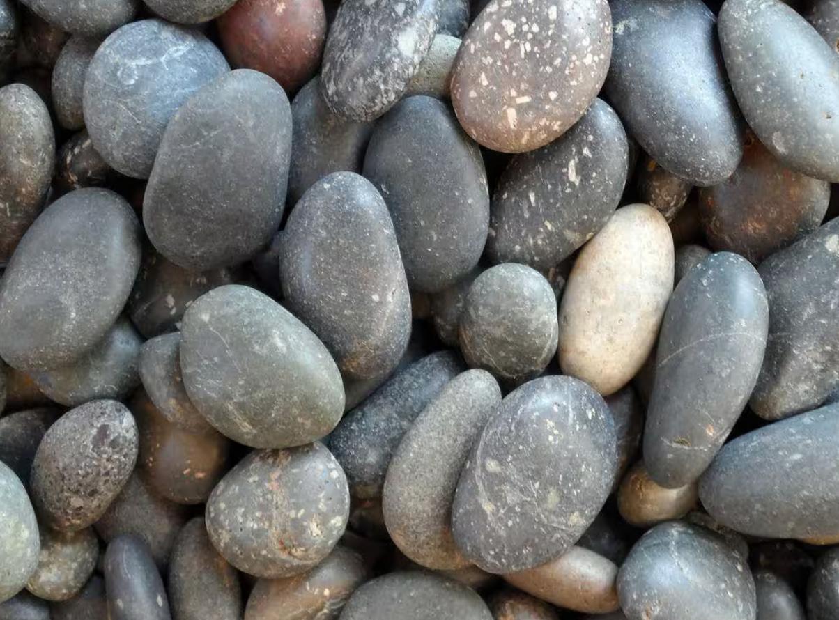 Mixed Mexican Beach P