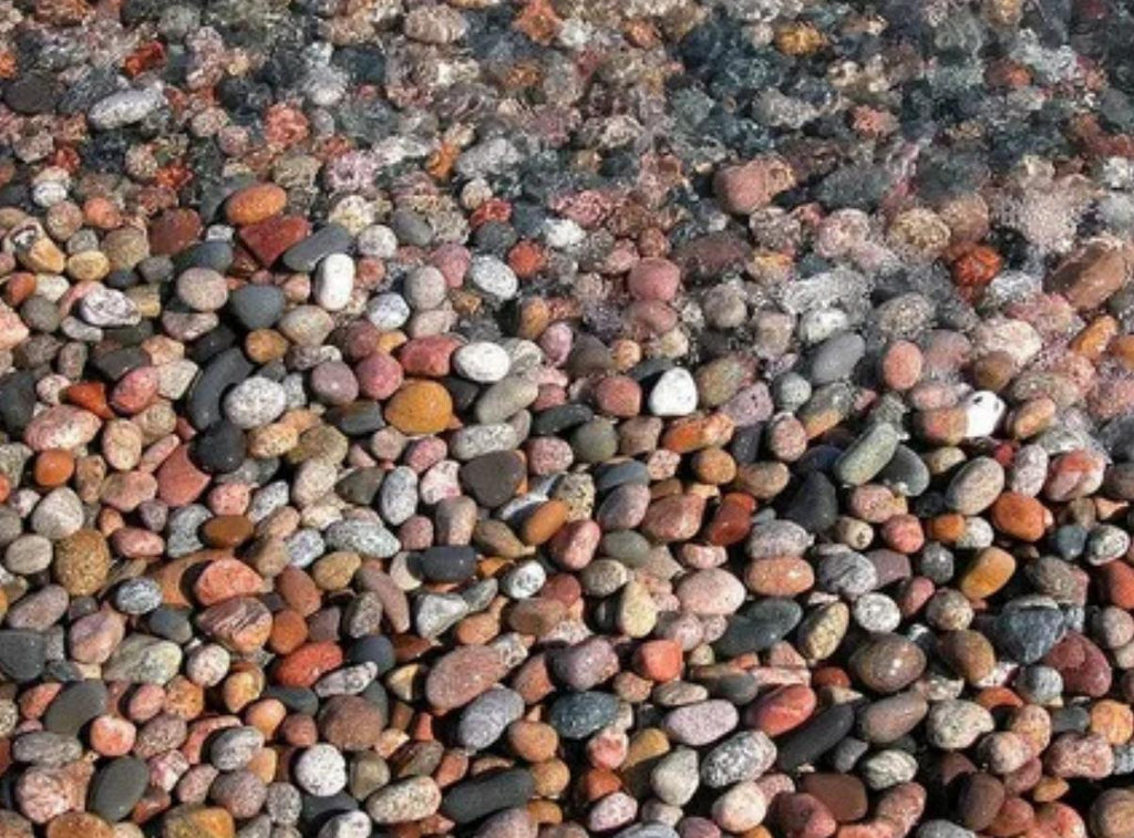 Mountain Berry Small