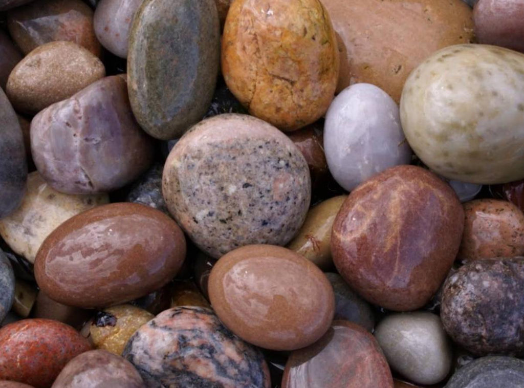 Mountain Berry Small