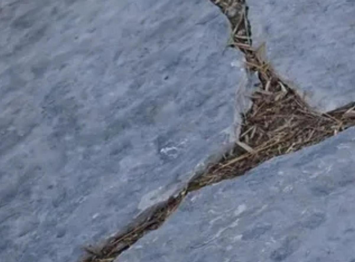 Oklahoma Flagstone Blue Silvermist