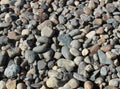 Mesa Gray River Rock