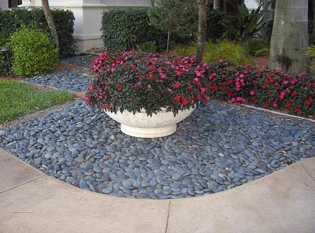 Mixed Mexican Beach P