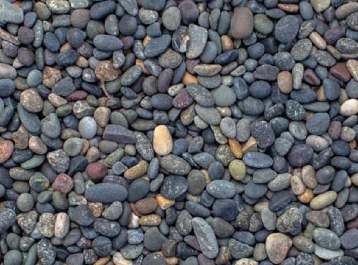 Mixed Mexican Beach P