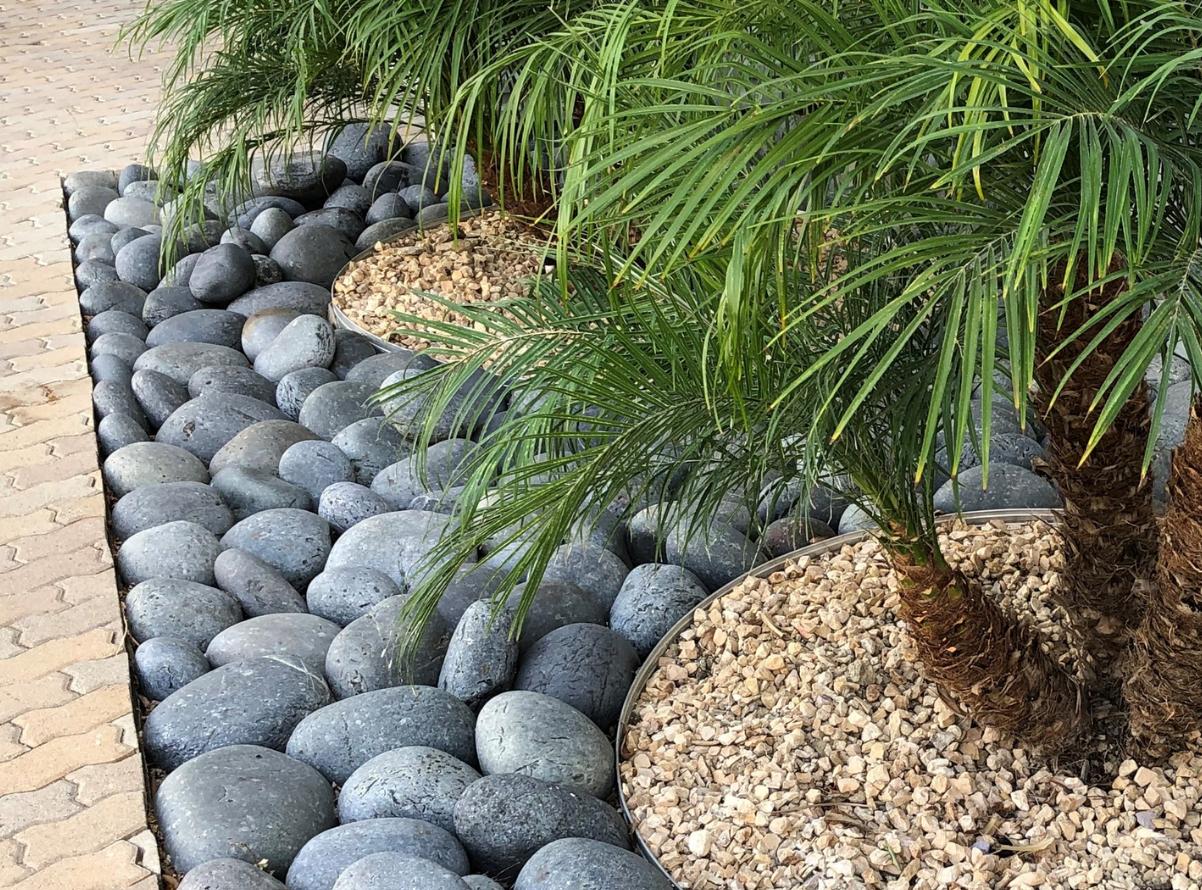 Black Mexican Beach Boulders